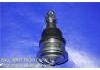 Joint de suspension Ball Joint:40160-31U00