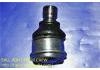 Joint de suspension Ball Joint:40160-ED000