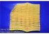 Luftfilter Air Filter:17801-31100