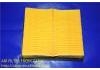 Luftfilter Air Filter:17801-31130