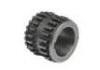 Crankshaft Timing Gear  Crankshaft Timing Gear:13021-ed000