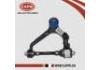 Suspension Arm:48067-29075