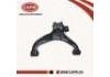 Bras de liaison Control Arm:54501-VW000