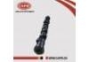 Nockenwelle Camshaft:13020-AD202