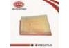 Luftfilter Air Filter:16546-J020B