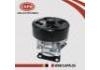 Wasserpumpe Water Pump:21010-CJ70A