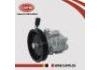 насос гидроусилителя руля Power Steering Pump:49110-0E000